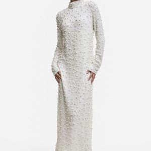 ISO (In search of—NOT for sale) H&M Pearl maxi dress in size Large